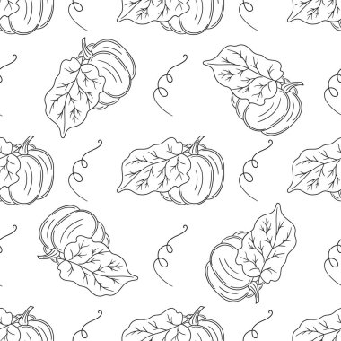 Balkabağım. Tekstil ya da mutfak için desen. Tek renkli sebze deseni elde çizim tarzında. Tasarım, tekstil, kumaş için yazdır