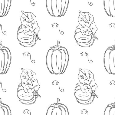 Balkabağım. Tekstil ya da mutfak için desen. Tek renkli sebze deseni elde çizim tarzında. Tasarım, tekstil, kumaş, duvar kağıdı için yazdır