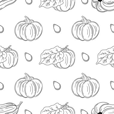 Balkabağım. Tekstil ya da mutfak için desen. Tek renkli sebze deseni elde çizim tarzında. Tasarım, tekstil, kumaş, duvar kağıdı, ambalaj kağıdı, dekorasyon