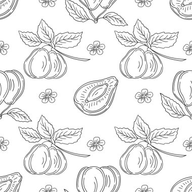 Erik. Tekstil ya da mutfak için desen. Tek renkli meyve deseni elde çizim biçimi
