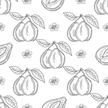 Erik. Tekstil ya da mutfak için desen. Tek renkli meyve deseni elde çizim tarzında. Yazdır