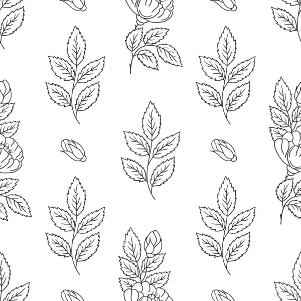 Rosehip 'te. Tek renkli çiçek desenli. Tekstil ya da mutfak tarzı. Tasarım, tekstil, kumaş, duvar kağıdı, ambalaj kağıdı, dekorasyon vesaire için yazdır