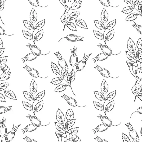 Rosehip 'te. Tek renkli çiçek deseni elde çizim tarzında. Tekstil ya da mutfak için desen. Tasarım, tekstil, kumaş, duvar kağıdı, ambalaj kağıdı, dekorasyon