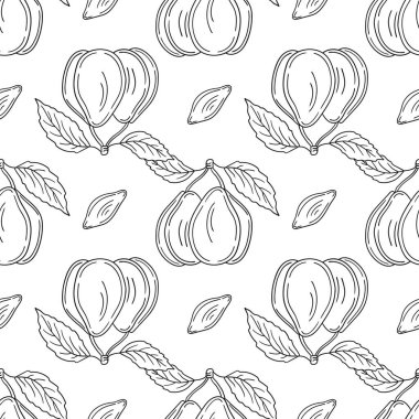 Tekstil ya da mutfak için desen. Erik. Tek renkli meyve deseni elde çizim tarzında. Tasarım için yazdır