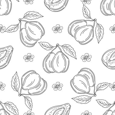 Tekstil ya da mutfak için desen. Erik. Elinde kusursuz meyve deseni var. Tasarım ve tekstil için yazdır