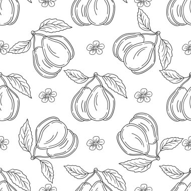 Tekstil ya da mutfak için desen. Erik. Tek renkli meyve deseni elde çizim tarzında. Tasarım, tekstil, kumaş, duvar kağıdı için yazdır