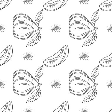 Tekstil ya da mutfak için desen. Erik. Tek renkli meyve deseni elde çizim tarzında. Tasarım, tekstil, kumaş, duvar kağıdı, ambalaj için yazdır