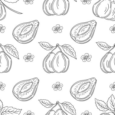 Tekstil ya da mutfak için desen. Erik. Tek renkli meyve deseni elde çizim tarzında. Tasarım, tekstil, kumaş, duvar kağıdı, ambalaj kağıdı, dekorasyon vesaire için yazdır