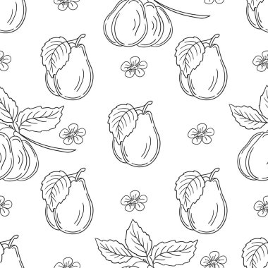 Tekstil ya da mutfak için desen. Tek renkli meyve deseni elde çizim tarzında. Erik. Yazdır