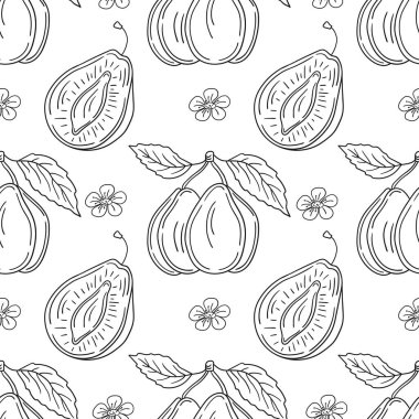 Tekstil ya da mutfak için desen. Tek renkli meyve deseni elde çizim tarzında. Erik. Tasarım için yazdır