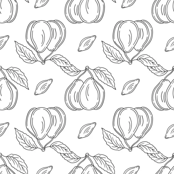 Tekstil ya da mutfak için desen. Erik. Tek renkli meyve deseni elde çizim tarzında. Tasarım için yazdır