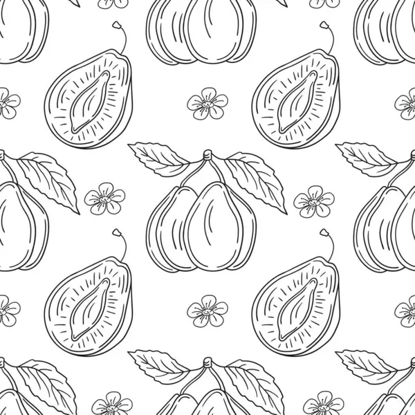 Tekstil ya da mutfak için desen. Tek renkli meyve deseni elde çizim tarzında. Erik. Tasarım için yazdır