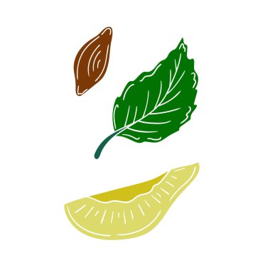 Sevimli meyve çizimi tarzı. Beyaz arka planda erik. Beyaz özet