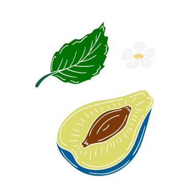 Sevimli meyve çizimi tarzı. Beyaz arka planda erik. Beyaz taslak. Kartpostallar, el ilanları için tasarım