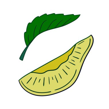 Sevimli meyve çizimi tarzı. Beyaz arkaplanda erik ikonu. Kartpostallar, el ilanları, afişler için tasarım. Simge, imza, etiket