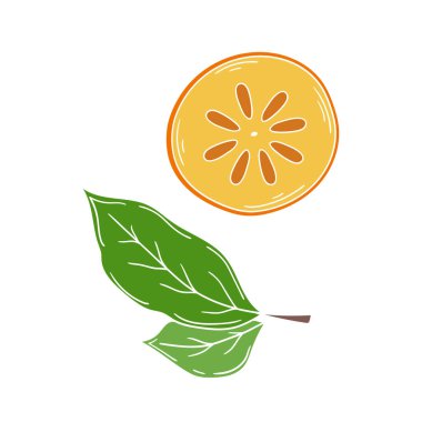 Sevimli meyve çizimi tarzı. Beyaz arka planda hurma. Beyaz taslak. Kartpostallar, el ilanları, afişler için tasarım. Simge, imzala