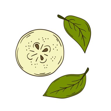 Sevimli meyve çizimi tarzı. Beyaz arka planda armut simgesi. Kartpostallar, el ilanları, afişler için tasarım. Simge, imza, çıkartma, iğne
