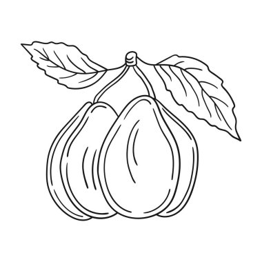 Sevimli meyve çizimi tarzı. Tek renkli olsun. Beyaz arkaplanda erik ikonu. Tasarım