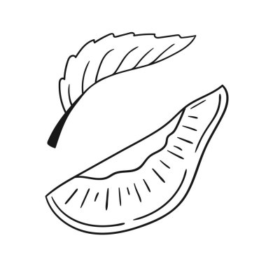 Sevimli meyve çizimi tarzı. Tek renkli olsun. Beyaz arkaplanda erik ikonu. Boyama kitapları, çocuk eğitim oyunları için tasarlandı. Simge, imza, çıkartma, iğne