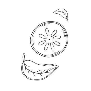 Sevimli meyve çizimi tarzı. Tek renkli olsun. Beyaz arkaplanda hurma simgesi. Boyama kitapları için tasarım, oyun