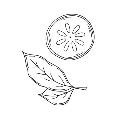 Sevimli meyve çizimi tarzı. Tek renkli olsun. Beyaz arkaplanda hurma simgesi. Boyama kitapları, çocuk eğitim oyunları için tasarlandı. Simge, imzala