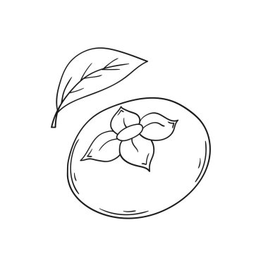 Sevimli meyve çizimi tarzı. Tek renkli olsun. Beyaz arkaplanda hurma simgesi. Boyama kitapları, çocuk eğitim oyunları için tasarlandı. Simge, işaret, etiket, iğne, logo