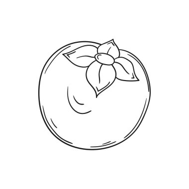 Sevimli meyve çizimi tarzı. Tek renkli olsun. Beyaz arkaplanda hurma simgesi. Boyama kitabı için tasarım