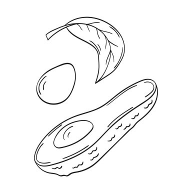 Sevimli meyve çizimi tarzı. Tek renkli olsun. Beyaz arkaplanda Avokado simgesi. Boyama kitapları için tasarım