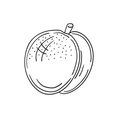 Sevimli meyve çizimi tarzı. Tek renkli olsun. Beyaz arkaplanda kayısı simgesi. Boyama kitapları, çocuk eğitim oyunları için tasarlandı. Simge, imzala