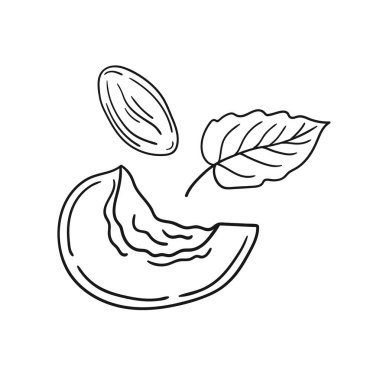 Sevimli meyve çizimi tarzı. Tek renkli olsun. Beyaz arkaplanda kayısı simgesi. Boyama kitapları, çocuk eğitim oyunları için tasarlandı. Simge, imza, etiket