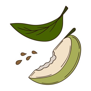 Sevimli meyve çizimi tarzı. Beyaz arkaplanda yeşil elma simgesi. Kartpostallar, el ilanları, afişler için tasarım