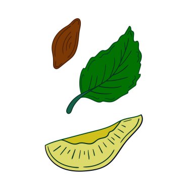 Sevimli meyve çizimi tarzı. Kartpostallar, el ilanları, afişler için tasarım. Beyaz arkaplanda erik ikonu. Simge, imza, çıkartma, iğne