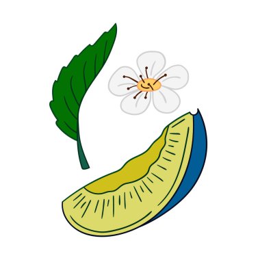 Sevimli meyve çizimi tarzı. Kartpostallar, el ilanları, afişler için tasarım. Beyaz arkaplanda erik ikonu. Simge, imza, etiket