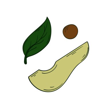 Sevimli meyve çizimi tarzı. Beyaz arkaplanda Avokado simgesi. Kartpostallar için tasarım