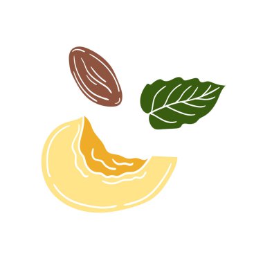 Sevimli meyve çizimi tarzı. Beyaz arkaplanda kayısı simgesi. Beyaz taslak. Kartpostallar, el ilanları, afişler için tasarım. Simge, imza, etiket