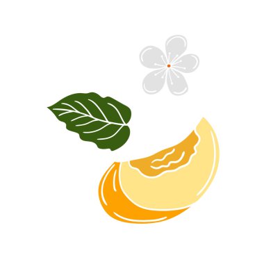 Sevimli meyve çizimi tarzı. Beyaz arkaplanda kayısı simgesi. Beyaz taslak. Kartpostallar, el ilanları, afişler için tasarım. Simge, imza, çıkartma, iğne