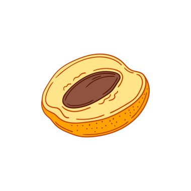 Sevimli meyve çizimi tarzı. Beyaz arkaplanda kayısı simgesi. Tasarım