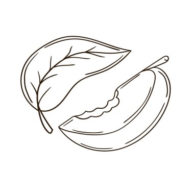 Sevimli meyve çizimi tarzı. Beyaz arkaplanda elma simgesi. Tek renkli olsun. Boyama kitapları, çocuk eğitim oyunları için tasarlandı. Simge, imza, etiket