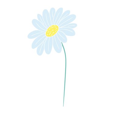 Sevimli çiçek çizimi tarzı. Beyaz taslak. Beyaz arkaplanda papatya çayı