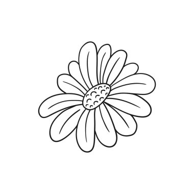 Sevimli çiçek çizimi tarzı. Tek renkli olsun. Beyaz arka planda papatya çayı ikonu. Boyama kitapları, çocuk eğitim oyunları için tasarlandı. Simge, imza, çıkartma, iğne