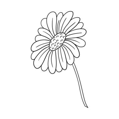 Sevimli çiçek çizimi tarzı. Tek renkli olsun. Beyaz arka planda papatya çayı ikonu. Boyama kitapları, çocuk eğitim oyunları için tasarlandı. Simge, imza, etiket