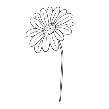 Sevimli çiçek çizimi tarzı. Tek renkli olsun. Beyaz arka planda papatya çayı ikonu. Boyama kitabı için tasarım