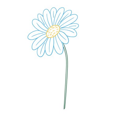 Sevimli çiçek çizimi tarzı. Renk çizgisi. Beyaz arkaplanda papatya çayı simgesi