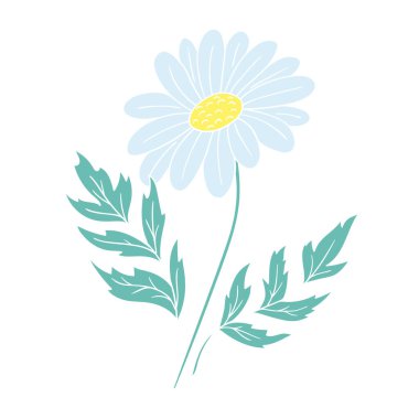 Sevimli çiçek çizimi tarzı. Beyaz arka planda papatya çayı. Beyaz taslak. Kartpostallar için tasarım