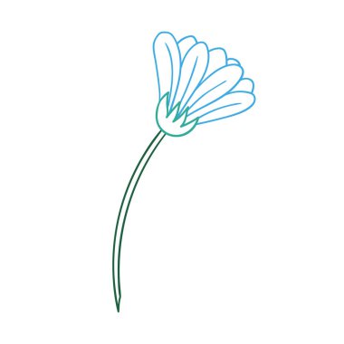 Sevimli çiçek çizimi tarzı. Beyaz arka planda papatya çayı ikonu. Renk çizgisi