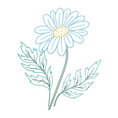 Sevimli çiçek çizimi tarzı. Beyaz arka planda papatya çayı ikonu. Renk çizgisi. Kartpostallar için tasarım