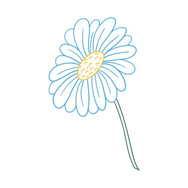 Sevimli çiçek çizimi tarzı. Beyaz arka planda papatya çayı ikonu. Renk çizgisi. Kartpostallar, el ilanları, afişler için tasarım. Simge, imza, etiket