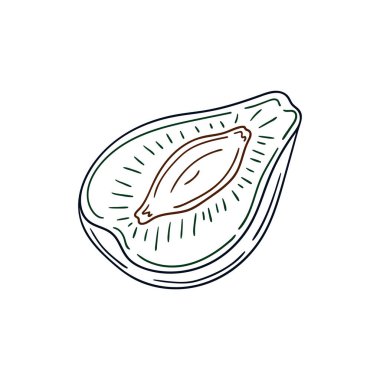 Elle çizim tarzında şirin çilek çizimi. Beyaz arkaplanda erik ikonu. Renk çizgisi. Kartpostallar için tasarım