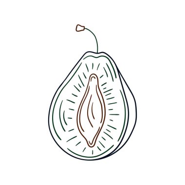 Elle çizim tarzında şirin çilek çizimi. Beyaz arkaplanda erik ikonu. Renk çizgisi. Kartpostallar, el ilanları, afişler için tasarım. Simge