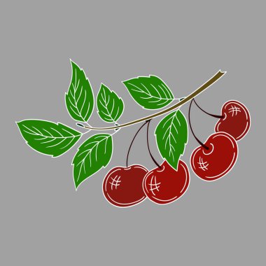 Elle çizim tarzında şirin çilek çizimi. Gri arka planda kiraz. Beyaz taslak. Kartpostallar, el ilanları, afişler için tasarım. Simge, işaret, etiket, iğne, logo